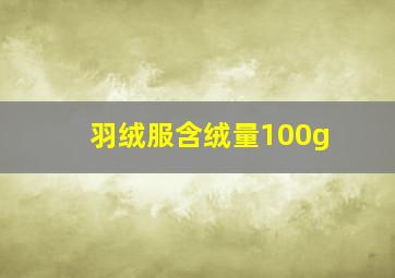 羽绒服含绒量100g