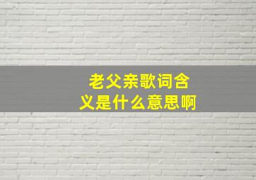 老父亲歌词含义是什么意思啊