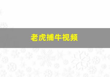 老虎捕牛视频