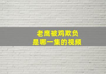 老鹰被鸡欺负是哪一集的视频