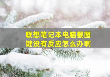 联想笔记本电脑截图键没有反应怎么办啊