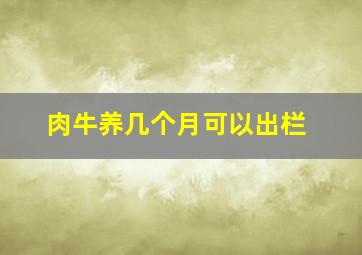 肉牛养几个月可以出栏