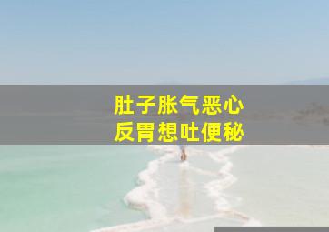 肚子胀气恶心反胃想吐便秘