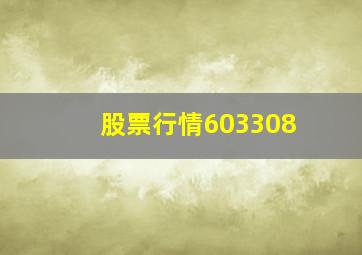 股票行情603308