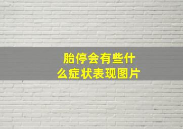 胎停会有些什么症状表现图片