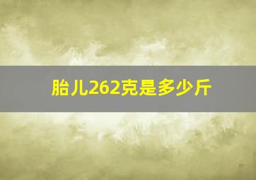 胎儿262克是多少斤