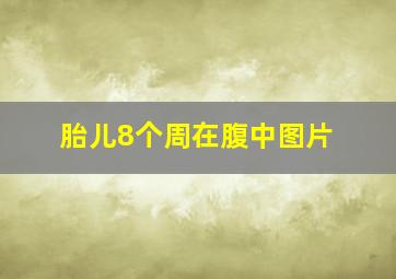 胎儿8个周在腹中图片