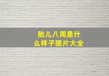 胎儿八周是什么样子图片大全