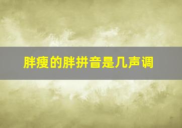 胖瘦的胖拼音是几声调