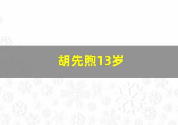 胡先煦13岁