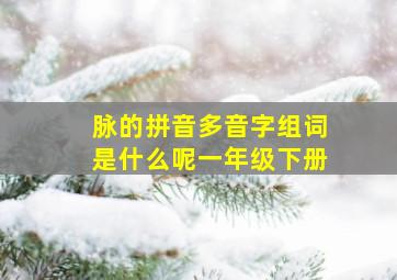 脉的拼音多音字组词是什么呢一年级下册