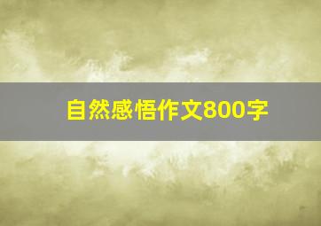 自然感悟作文800字