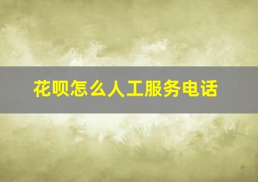 花呗怎么人工服务电话