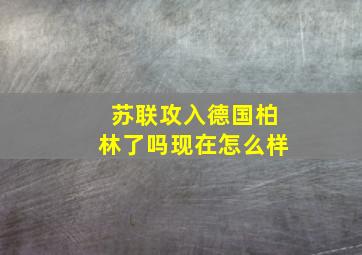 苏联攻入德国柏林了吗现在怎么样