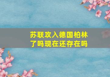 苏联攻入德国柏林了吗现在还存在吗