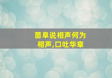 苗阜说相声何为相声,口吐华章