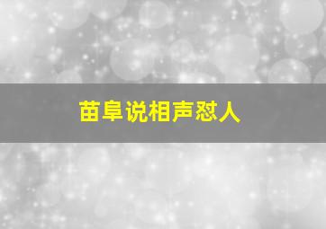 苗阜说相声怼人