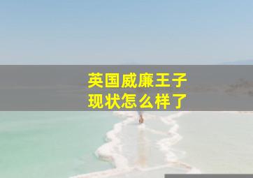 英国威廉王子现状怎么样了