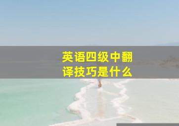 英语四级中翻译技巧是什么