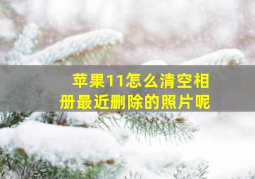 苹果11怎么清空相册最近删除的照片呢