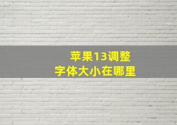 苹果13调整字体大小在哪里