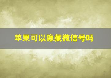 苹果可以隐藏微信号吗