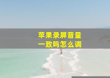 苹果录屏音量一致吗怎么调