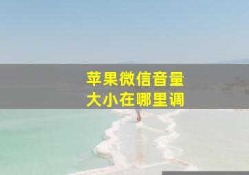 苹果微信音量大小在哪里调