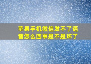 苹果手机微信发不了语音怎么回事是不是坏了