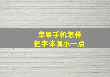 苹果手机怎样把字体调小一点