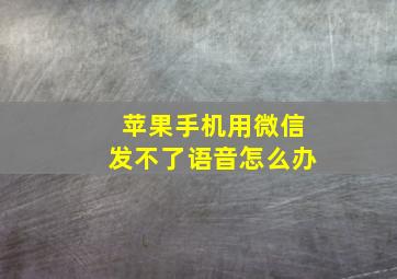 苹果手机用微信发不了语音怎么办