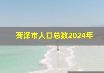 菏泽市人口总数2024年