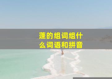 蓬的组词组什么词语和拼音