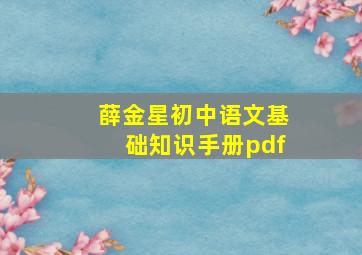 薛金星初中语文基础知识手册pdf