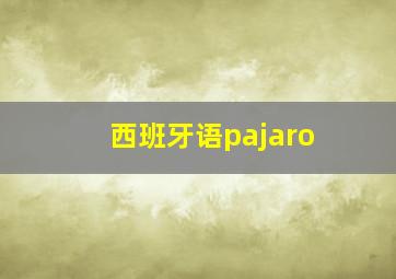 西班牙语pajaro