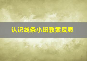 认识线条小班教案反思