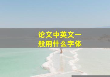 论文中英文一般用什么字体