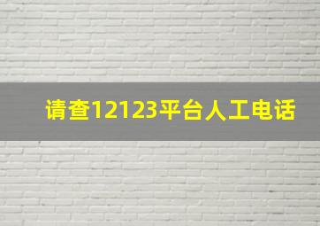 请查12123平台人工电话