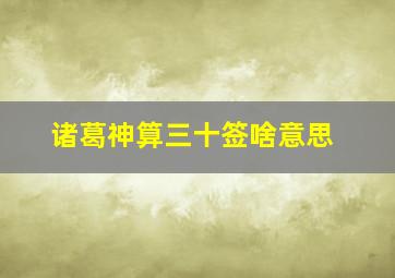 诸葛神算三十签啥意思