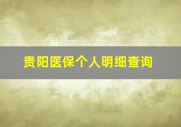 贵阳医保个人明细查询