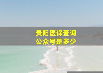 贵阳医保查询公众号是多少