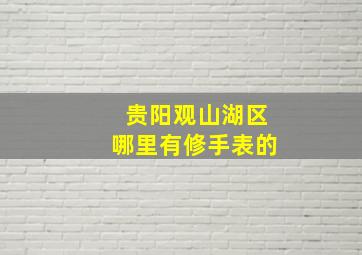 贵阳观山湖区哪里有修手表的