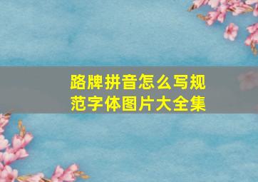 路牌拼音怎么写规范字体图片大全集