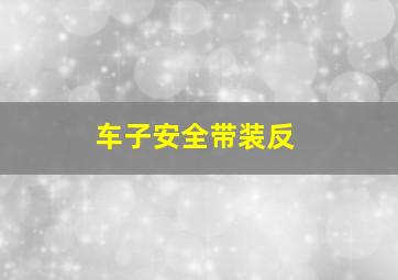 车子安全带装反