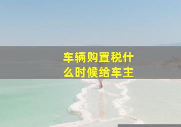 车辆购置税什么时候给车主