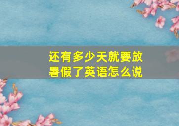 还有多少天就要放暑假了英语怎么说