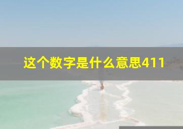 这个数字是什么意思411