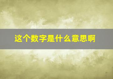 这个数字是什么意思啊