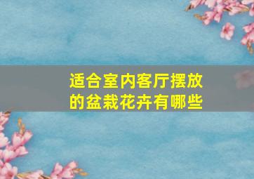 适合室内客厅摆放的盆栽花卉有哪些