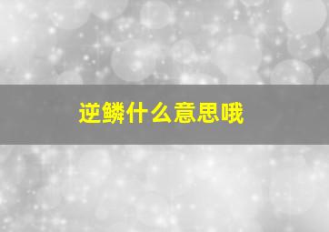 逆鳞什么意思哦